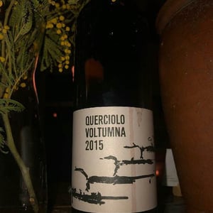 QUERCIOLO - Voltumna - marzio-politi