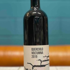 QUERCIOLO - Voltumna - marzio-politi