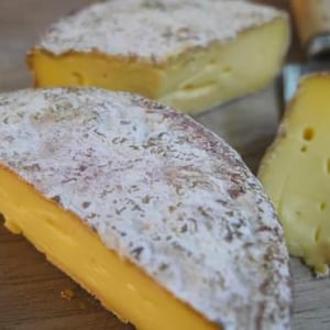 Queso Terra - Monvínic Store - 524922