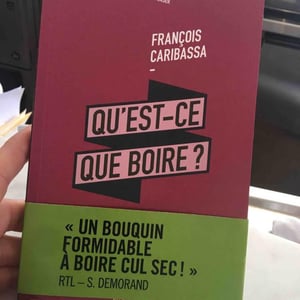 Qu’est ce que boire ? - Passerini