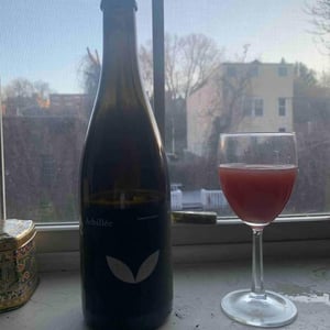 Domaine Achillée - Jean & Pierre Dietrich - Quetsches Alors