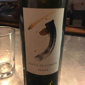 Queue de Comète - Julie Brosselin - Julie Brosselin 