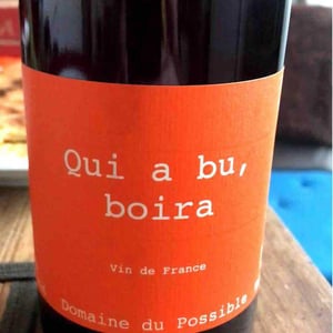 Domaine du Possible - Loïc Roure - Qui A Bu Boira