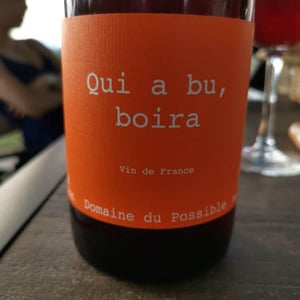 Domaine du Possible - Loïc Roure - Qui A Bu Boira