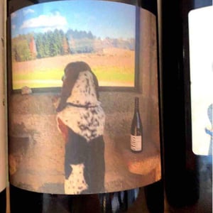 Quinta Da Saes Tinto - Quinta da Pellada | Quinta de Saes - maria-alvaro-castro