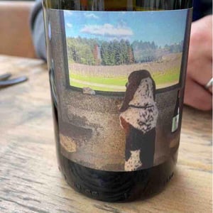 Quinta Da Saes Tinto - Quinta da Pellada | Quinta de Saes - maria-alvaro-castro