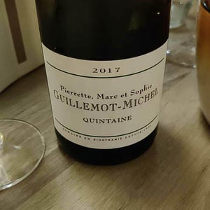 Domaine Guillemot-Michel - Sophie & Gautier Roussille - Quintaine