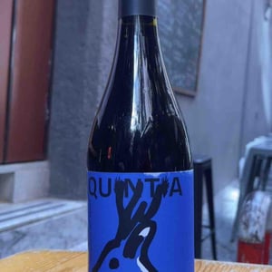 Carmenere - Azienda vitivinivola Quintia - azienda-vitivinivola-quintia -2018