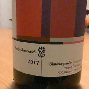 "Brogerdynamisch - Ottoberg" - Pinot Noir - Michael Broger Weinbau - michael-broger