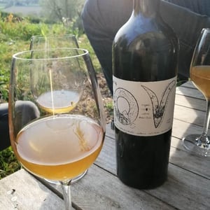 QV - Domaine du Pech - Magali Tissot & Ludovic Bonnelle 