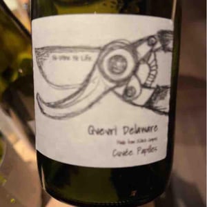 Qvevri Delaware - "Cuvée Papilles" - Fujimaru Brewery (Shimanouchi / Kiyosumi Shirakawa) - Satoshi Fujimaru 