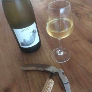 Qvevri - La Caillère - Clos du Tue-Bœuf - zoe-louise-thierry-puzelat