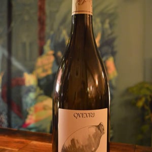 Qvevri Sauvignon - Clos du Tue-Bœuf - zoe-louise-thierry-puzelat