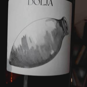 Qvevri Sauvignon - Clos du Tue-Bœuf - zoe-louise-thierry-puzelat