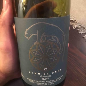 Qvevri - Vino di Anna - Anna Martens & Eric Narioo 