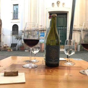 Qvevri - Vino di Anna - Anna Martens & Eric Narioo 