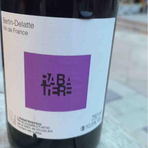 Rabatiere (Aunis) - Bertin Delatte - nicolas-bertin-genevieve-delatte