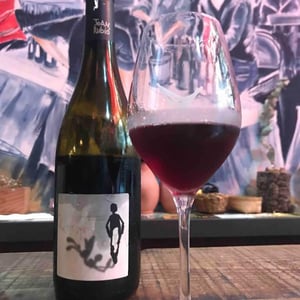 Ull De Llebre 2019 - Celler Cal Tiques - Joan Rubio