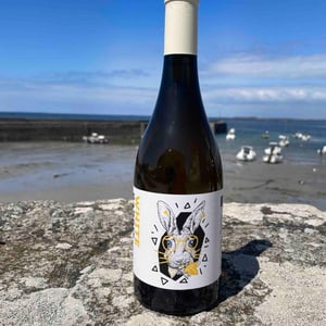 Rabbit - Domaine Des Marnes Blanches - pauline-geraud-fromont -2022