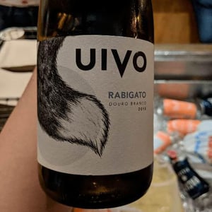Folias de Baco - Tiago Sampaio - Uivo Rabigato