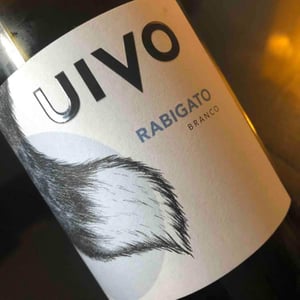 Folias de Baco - Tiago Sampaio - Uivo Rabigato