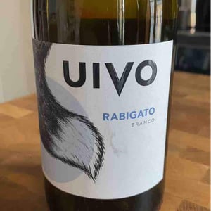 Folias de Baco - Tiago Sampaio - Uivo Rabigato