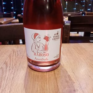 Raboso Ancestrale 2021 - Terre Grosse - famiglia-toninato -2021