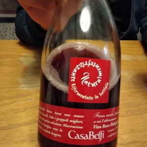 Raboso Colfondo - Casa Belfi - Maurizio Donadi & Albino Armani 