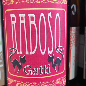 Azienda Agricola Gatti - Carolina Gatti - Raboso
