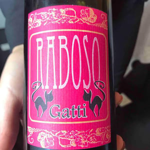 Raboso - Azienda Agricola Gatti - Carolina Gatti 
