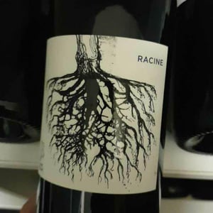 Racine - Le Jonc Blanc - isabelle-carles-franck-pascal