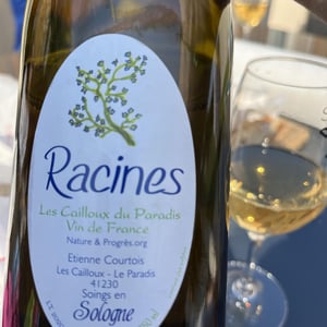 Racines Blanc - Les Cailloux du Paradis - claude-etienne-courtois