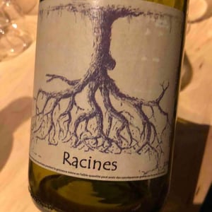 Racines - Jeremy Quastana - Jeremy Quastana 