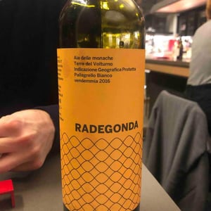 Radegonda - Aia delle Monache - vittorio-michele-verzillo