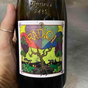 Radica - I Vigneri - Salvo Foti -2020