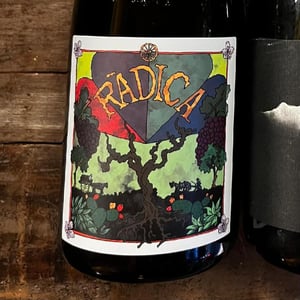 Radica - I Vigneri - salvo-foti -2020