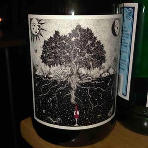 Carignan Radical - Pèira Levada - Alexandre Durand 