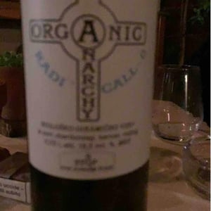 Radicall - Organic Anarchy - Aci Urbajs -2021