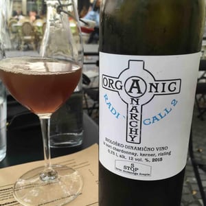 Radicall - Organic Anarchy - aci-urbajs -2021