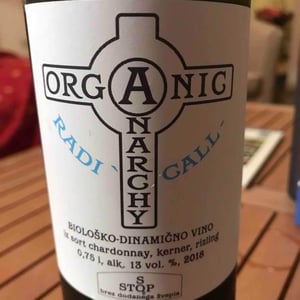 Organic Anarchy - Aci Urbajs - Radicall