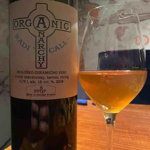 Radicall - Organic Anarchy - Aci Urbajs -2021