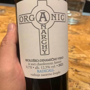 Radicall - Organic Anarchy - aci-urbajs -2021