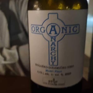 Radicall - Organic Anarchy - Aci Urbajs -2021