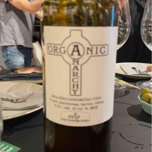 Radicall - Organic Anarchy - Aci Urbajs -2021