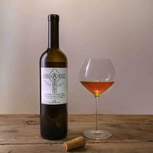 Radicall - Organic Anarchy - aci-urbajs -2021