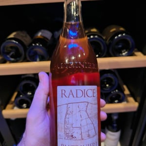Radice - Paltrinieri - barbara-alberto-paltrinieri