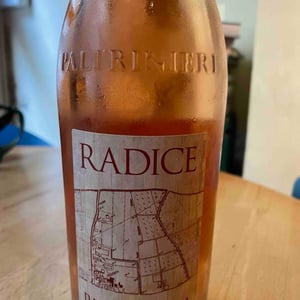 Radice - Paltrinieri - barbara-alberto-paltrinieri