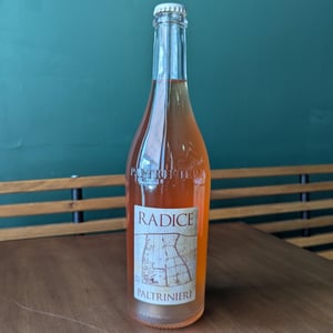 Radice - Paltrinieri - barbara-alberto-paltrinieri