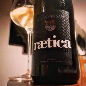 Raetica - Villa Persani - Silvano Clementi 