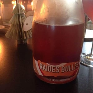 Raides Bulles - Causse Marines - Patrice Lescarret & Virginie Maignien 
